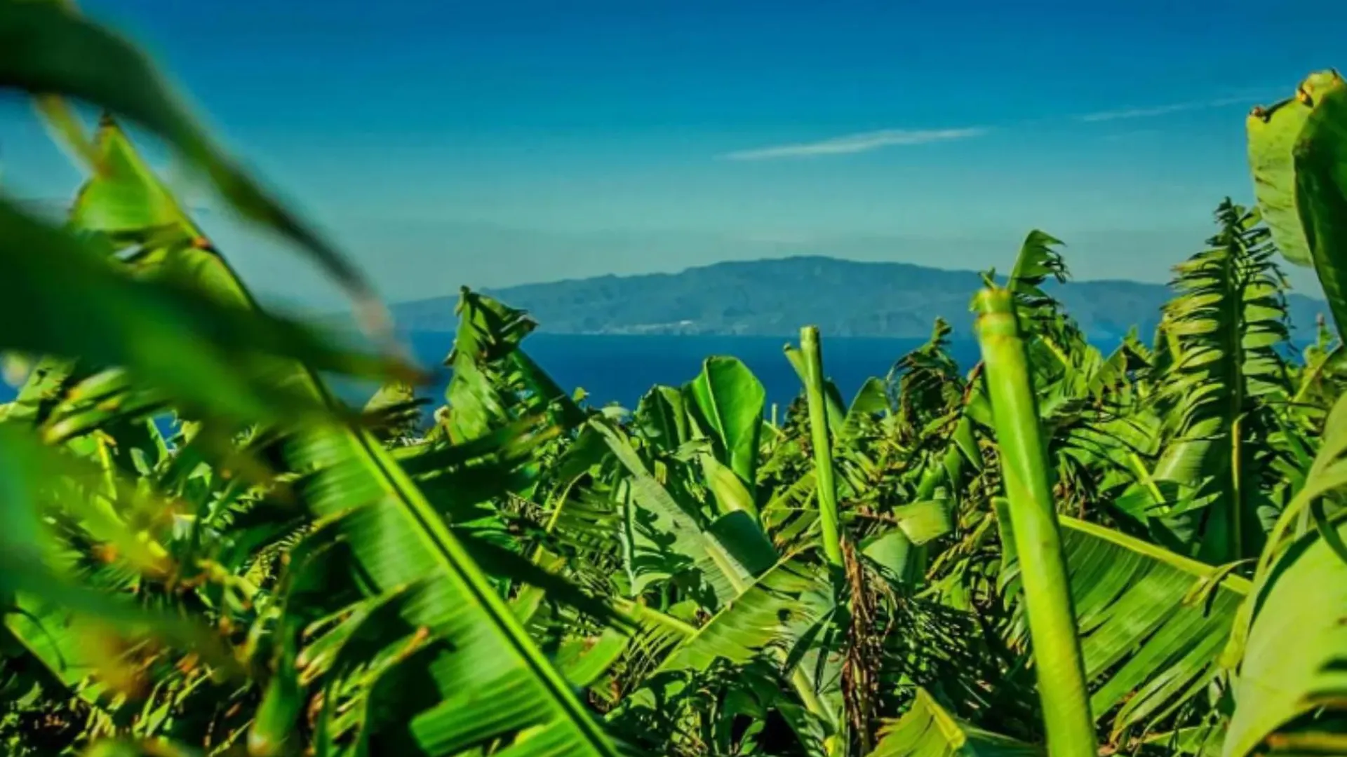 Σπίτι διακοπών La Atalaya Βίλα Costa Adeje